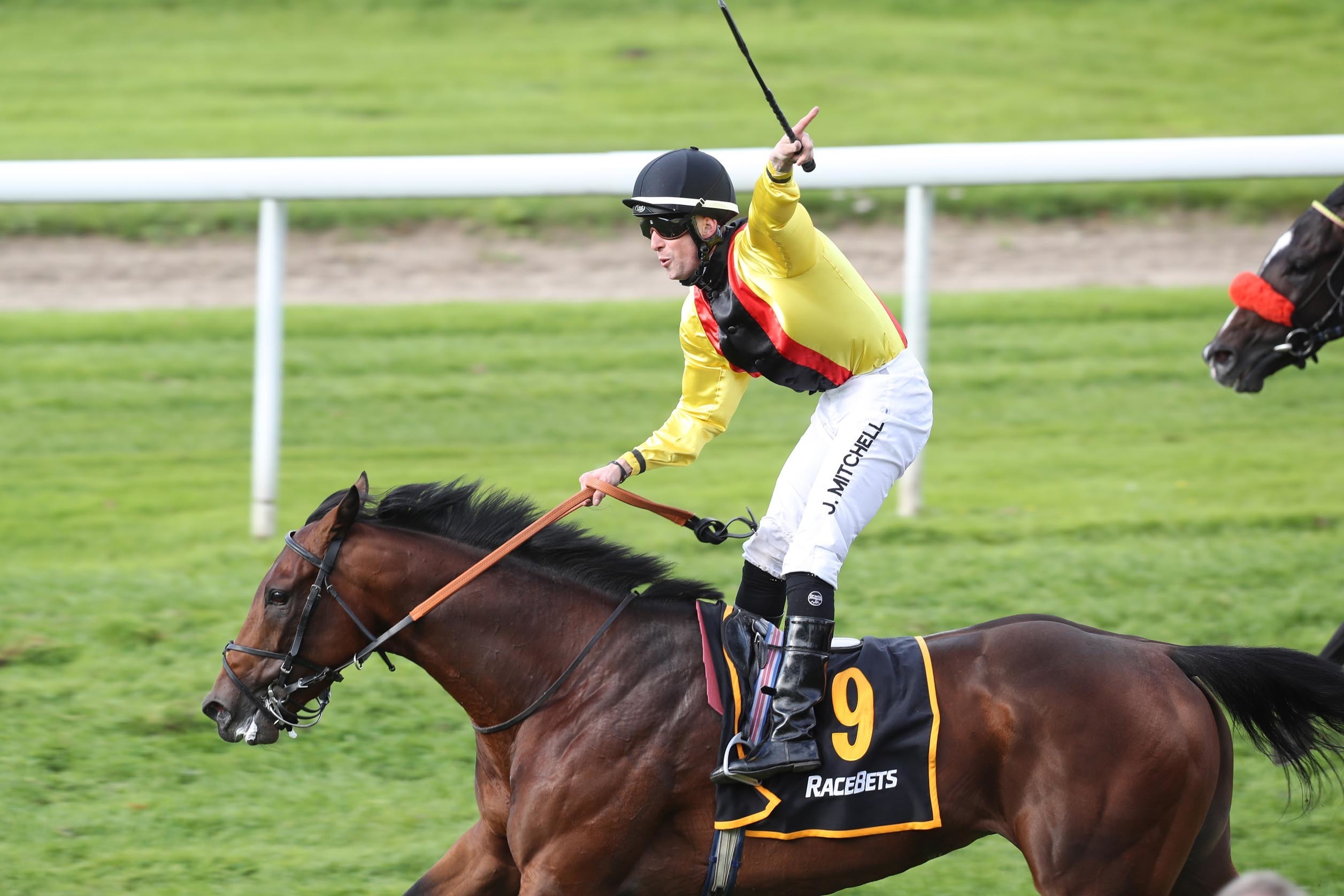 Oriental Eagle siegt unter Jack Mitchell (Foto Rühl)