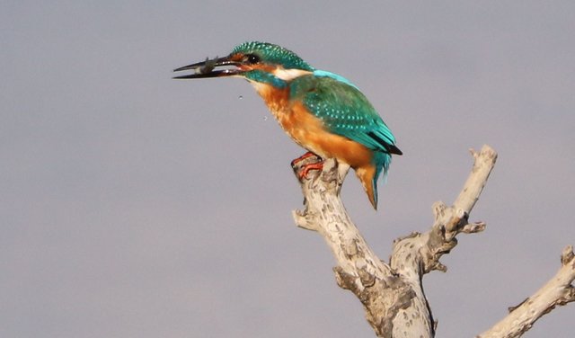 Da war er noch ziemlich zappelig