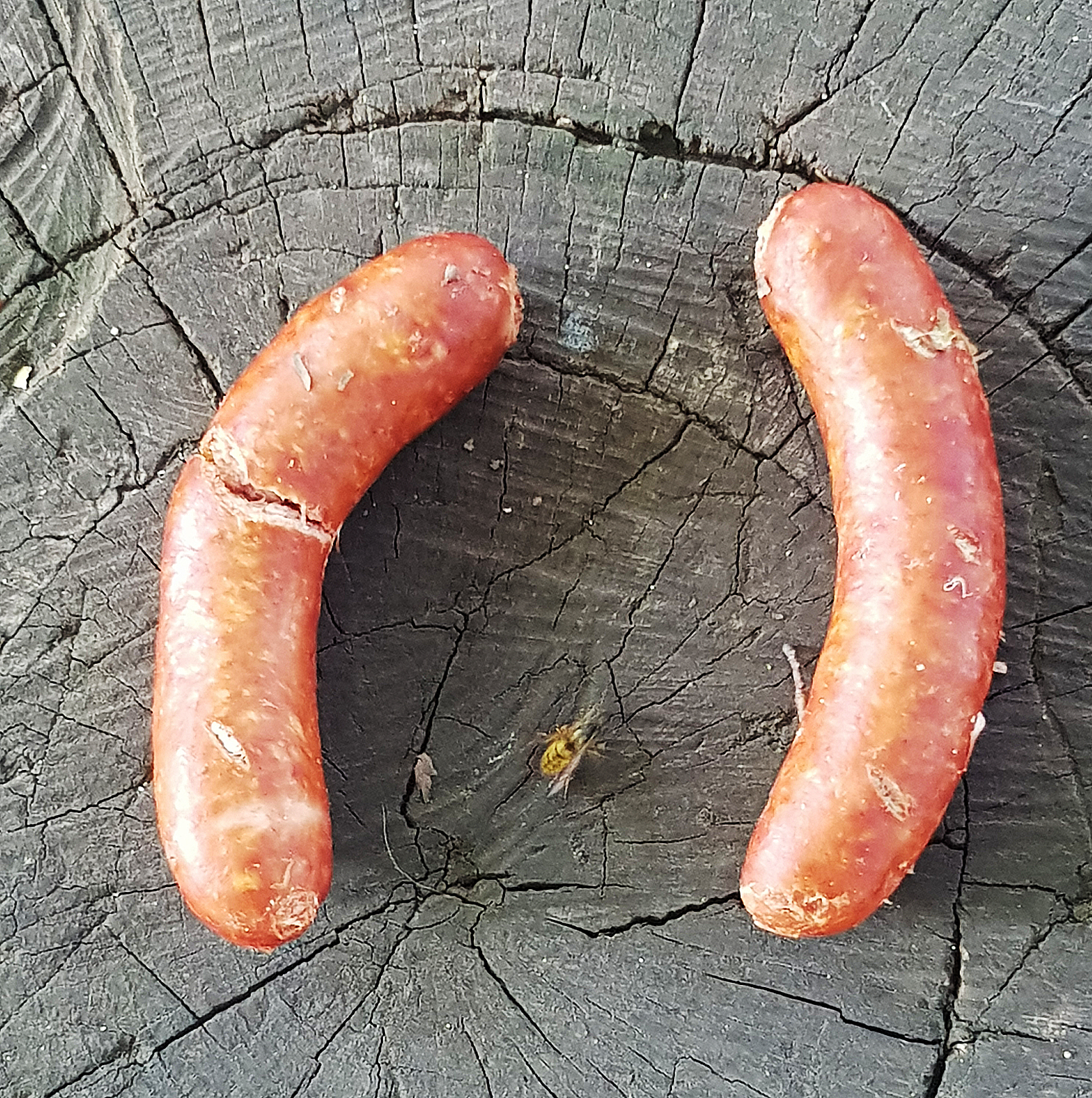 Auch diese beiden kompletten Mettwürstchen fand die Zweckeler Hundehalterin am Vormittag des 18. September (Dienstag) in dem Waldstück zwischen Dorstener- und Winkelstraße. Die linke Wurst weist einen sichtbaren Schnitt auf, weshalb der Verdacht besteht, dass die Wurststücke Gift oder auch Rasierklingen enthalten könnten.