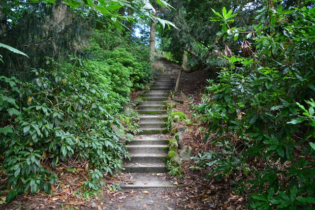 Hinauf zum Manninga-Berg.