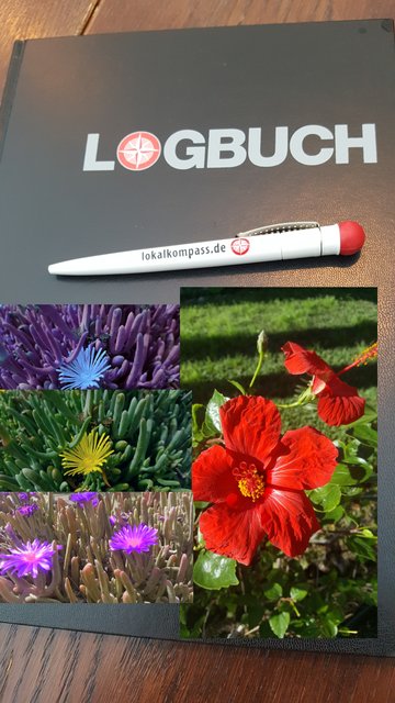 Ein Strauß unvergesslicher Momente