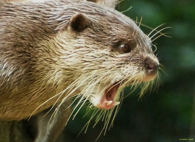 "Ich möchte meine Ruhe haben!"