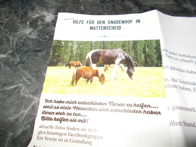 BürgerReporter helfen