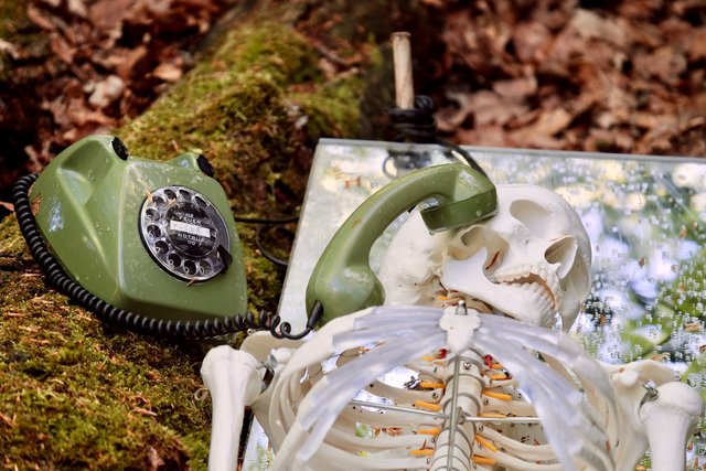 Kennt jemand die Telefonnummer vom zahnärzlichen Notdienst?