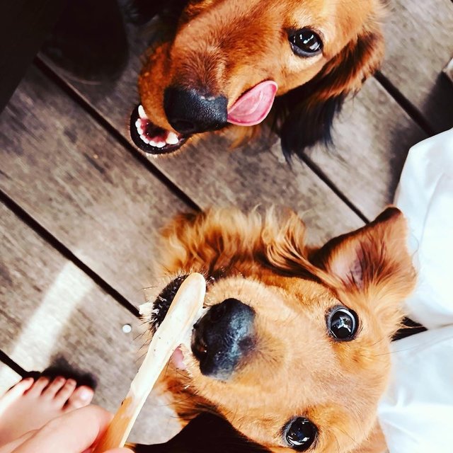 Eis essen und dann Zähne putzen!