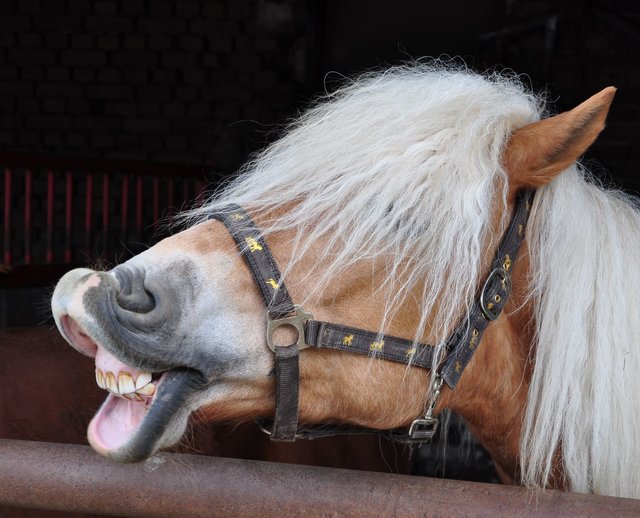 Ich hab' die Zähne schön