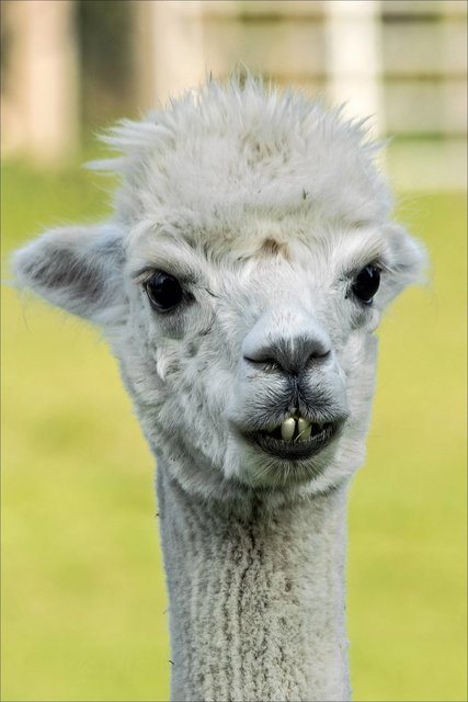 Meine Zähne sind noch blendend weiß :)))