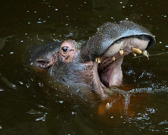 Küss mich, dann sollst du meine Prinzessin sein ;-)) 