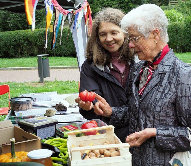 Über gesunde Ernährung und Äpfel im Besonderen informierte Heilpraktikerin Jeannette Schulz (links).