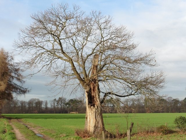 Wer die Natur der Bönninghardt erkundet, wandelt unweigerlich auf den Spuren des legendären Räuberhauptmannes Wilhelm Brinkhoff.