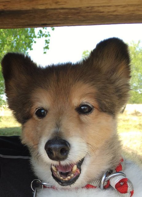 Klein, aber fein ;o)