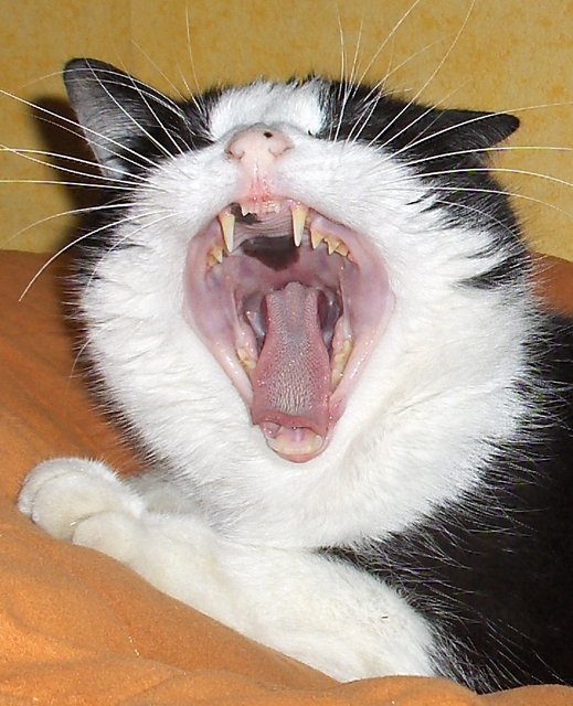 Nur zur Kontrolle, Herr Doktor.