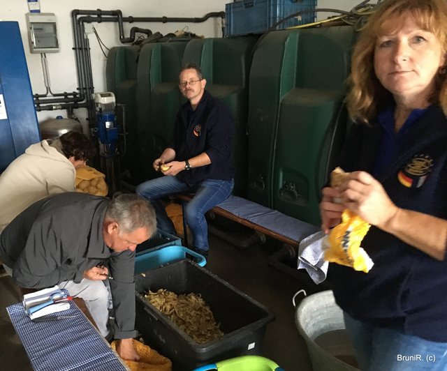 ...und drinnen wird geschält...