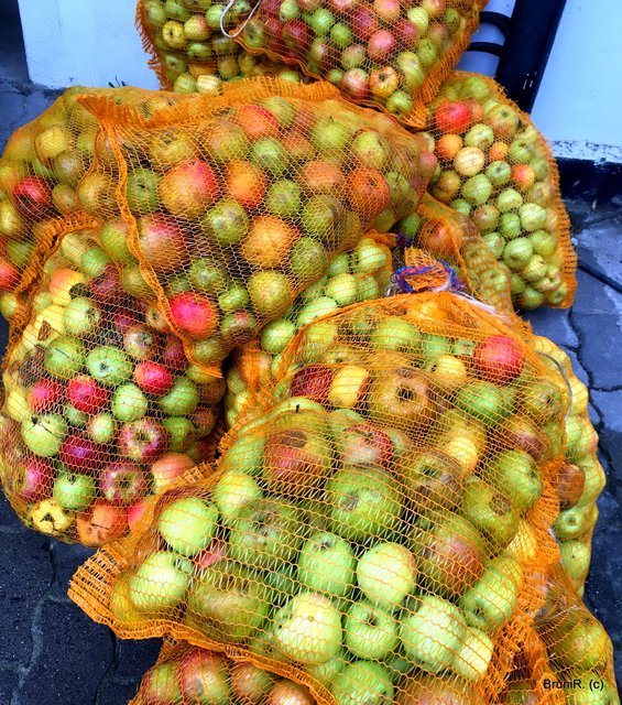 Berge von Äpfeln...
