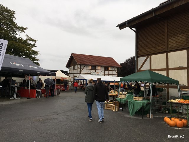 Blick zurück im Ein- und Ausgangsbereich
