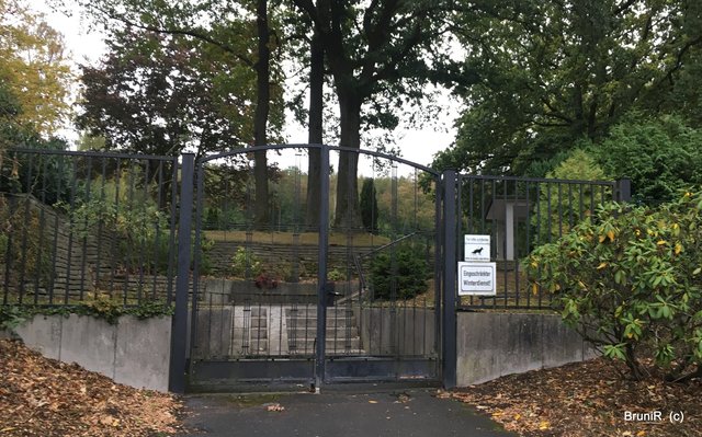 Besuch auf dem Friedhof...