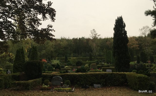 Alles überschaubar...