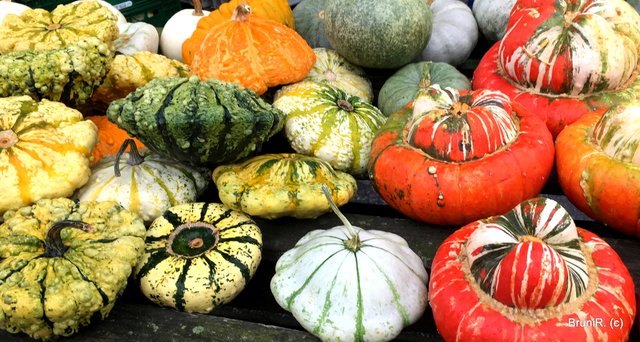 Bitte im VOLLBILD ansehen!