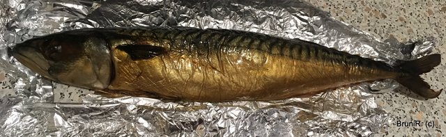 Die gekaufte Makrele... sehr lecker!!!