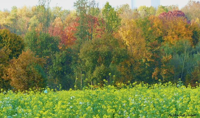 Foto: Rainer Bresslein