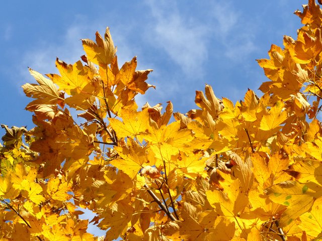 Foto: Rainer Bresslein