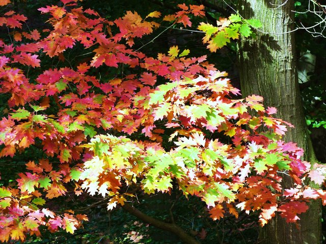 Foto: Rainer Bresslein