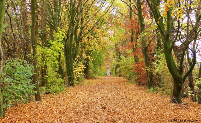 Foto: Rainer Bresslein
