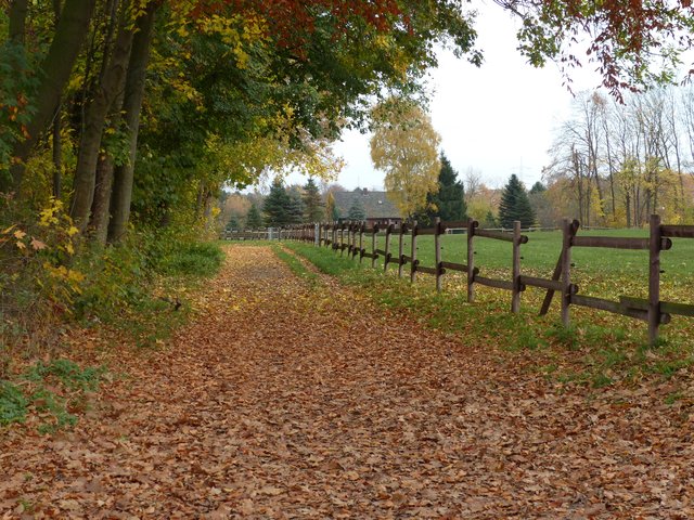 Foto: Rainer Bresslein