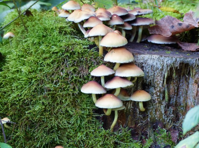 Foto: Rainer Bresslein