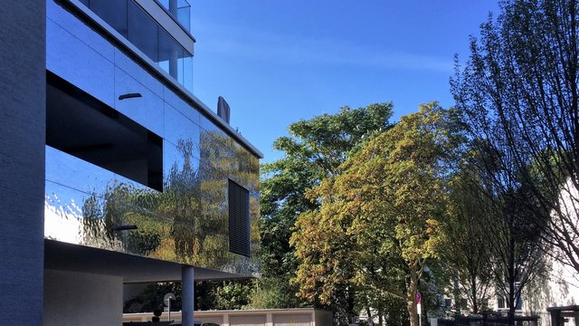 Das Grün spiegelt sich in den Metallfassaden.