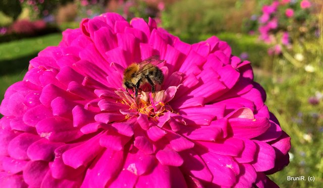 Hmmmmmm... lecker!!!