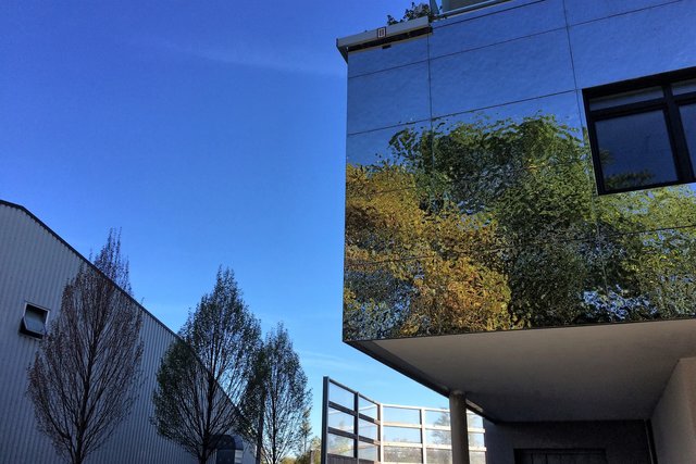 Das Grün spiegelt sich in den Fassaden.