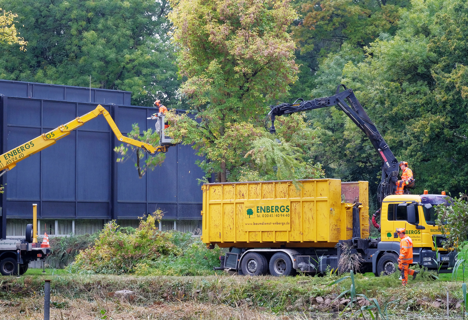 Im Stadtpark wurden 19 Bäume auf dem Areal des künftigen Erweiterungsbaus gefällt. Foto: Kappi