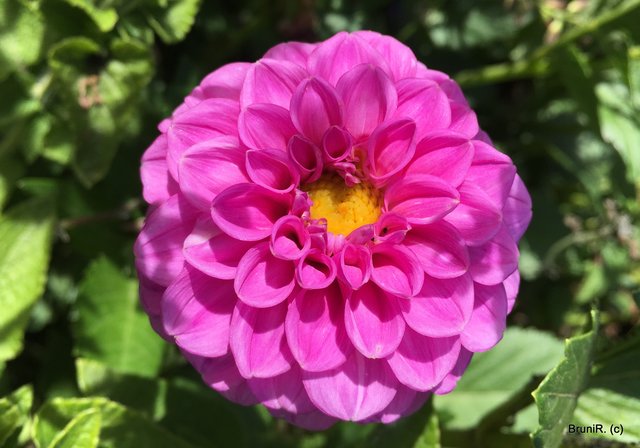 Hier ist nix... die war schneller als ich! :P