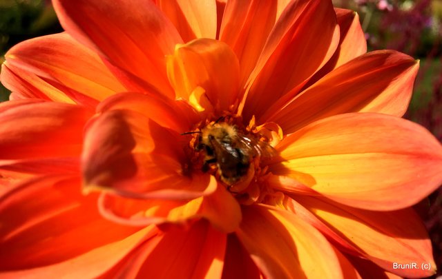 Fast nicht gesehen... gut getarnt!