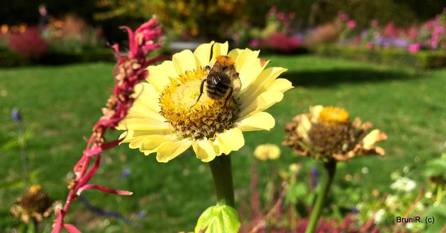 Das kennt ihr sicher schon... der "Plüschpopo!"