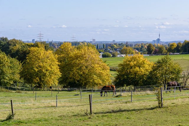 Ein Blick hinüber nach Dortmund