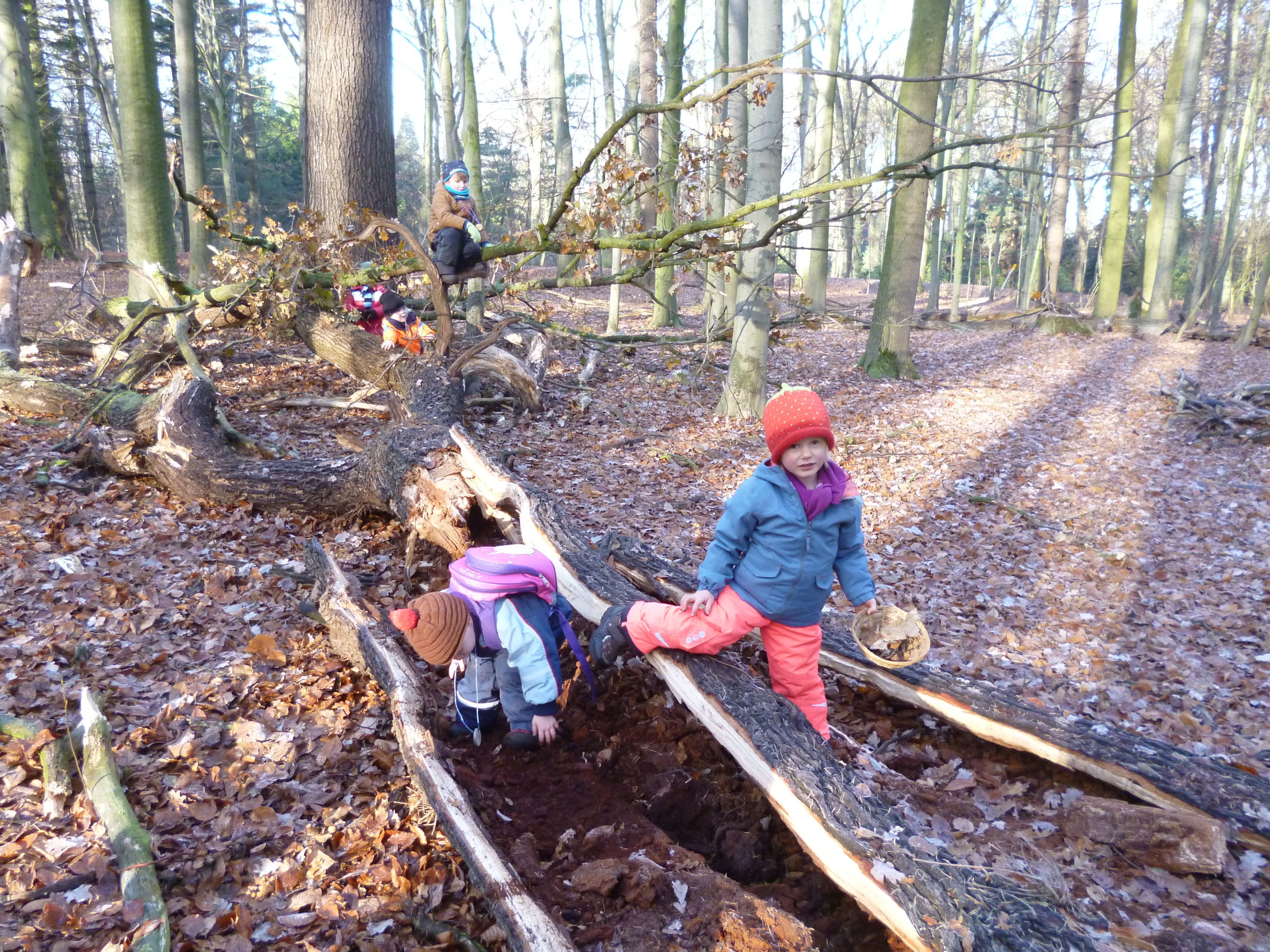 Der Wald bietet Abenteuer und Spaß