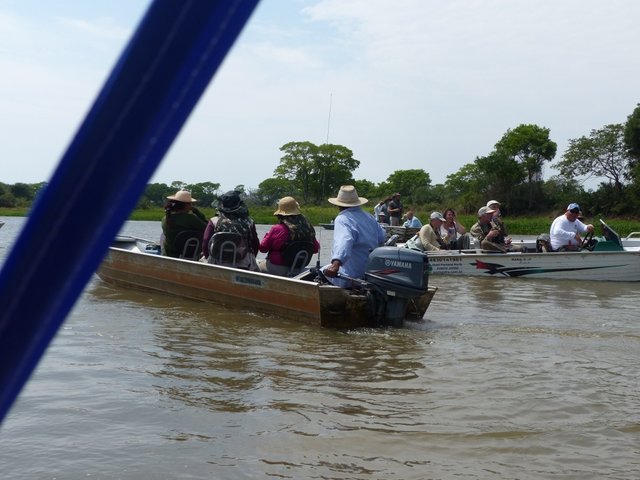 die Safari-Touristen machen den Jaguar zur Geldquelle, was einen wirksamen Schutz der Tiere bedingt