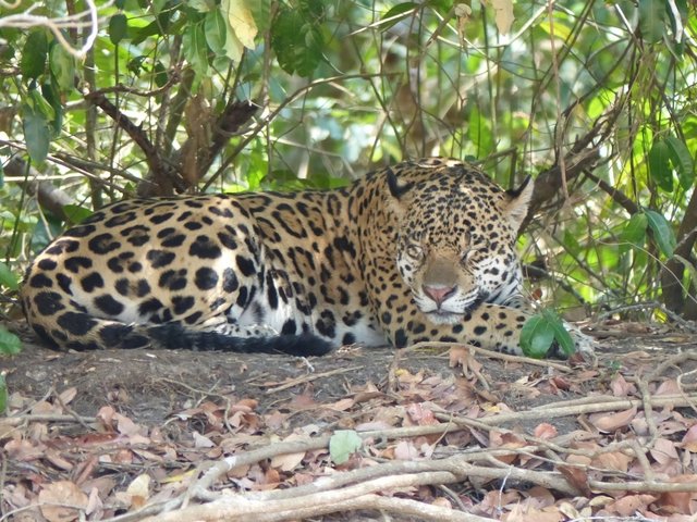 da macht man besser mal die Augen zu