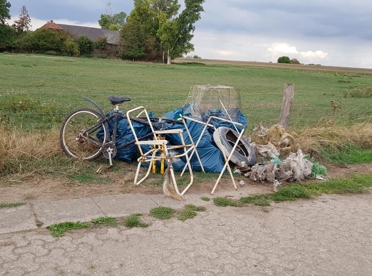 Bei solchen Funden lohnt sich der Aktionstag allemale!