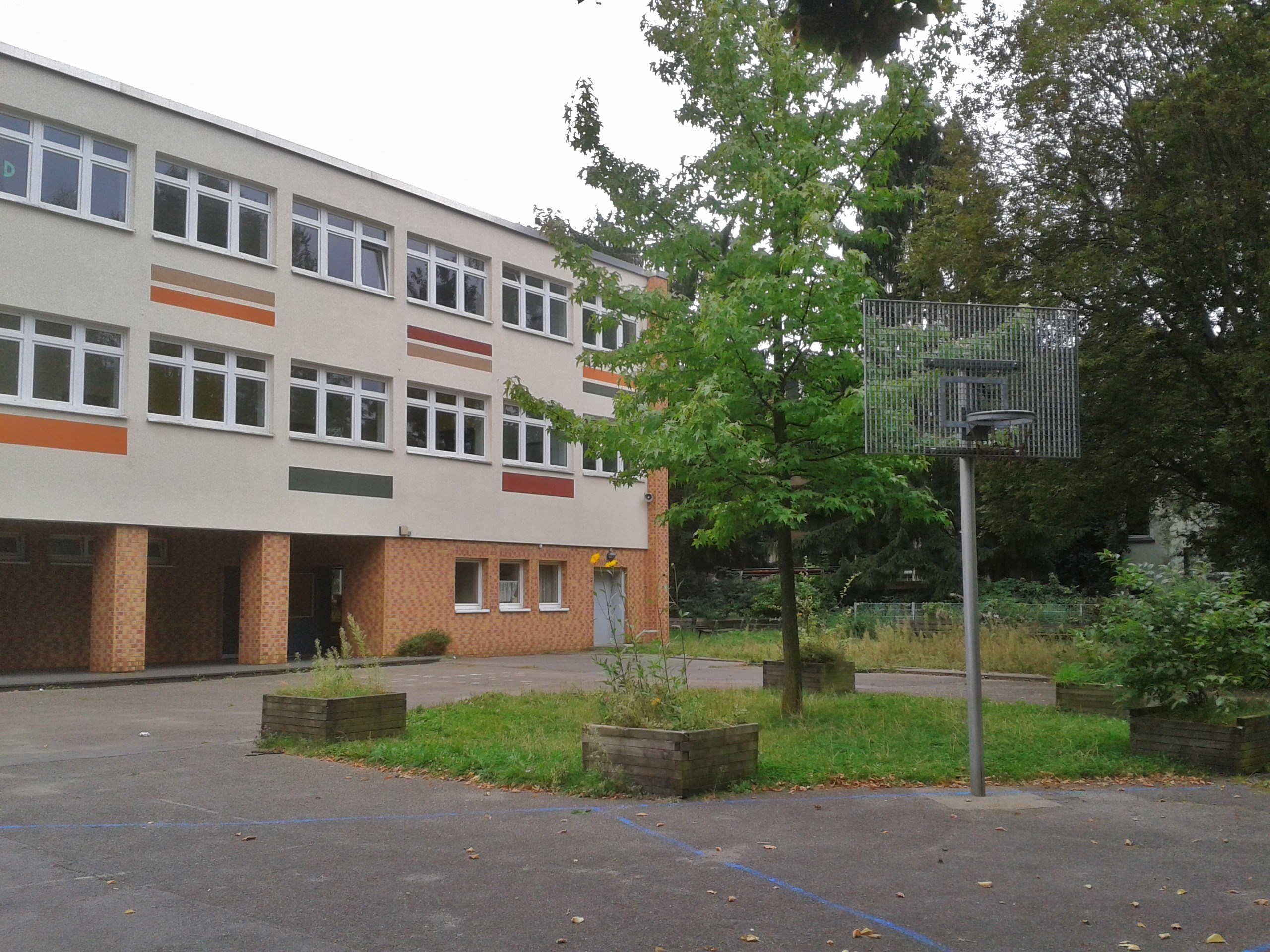 Die Theodor Fliedner Schule im Essener Westen: Förderschulen leisten gute und auch erfolgreiche pädagogische Arbeit für ihre Schüler*innen - trotzdem dürfen wir es nicht zulassen, dass unsere schwarz-gelbe Landesregierung jetzt beim Thema Inklusion eine Rolle rückwärts verordnet, die bald fast alle Schulformen außer dem Gymnasium an den Rand des Chaos bringen kann.