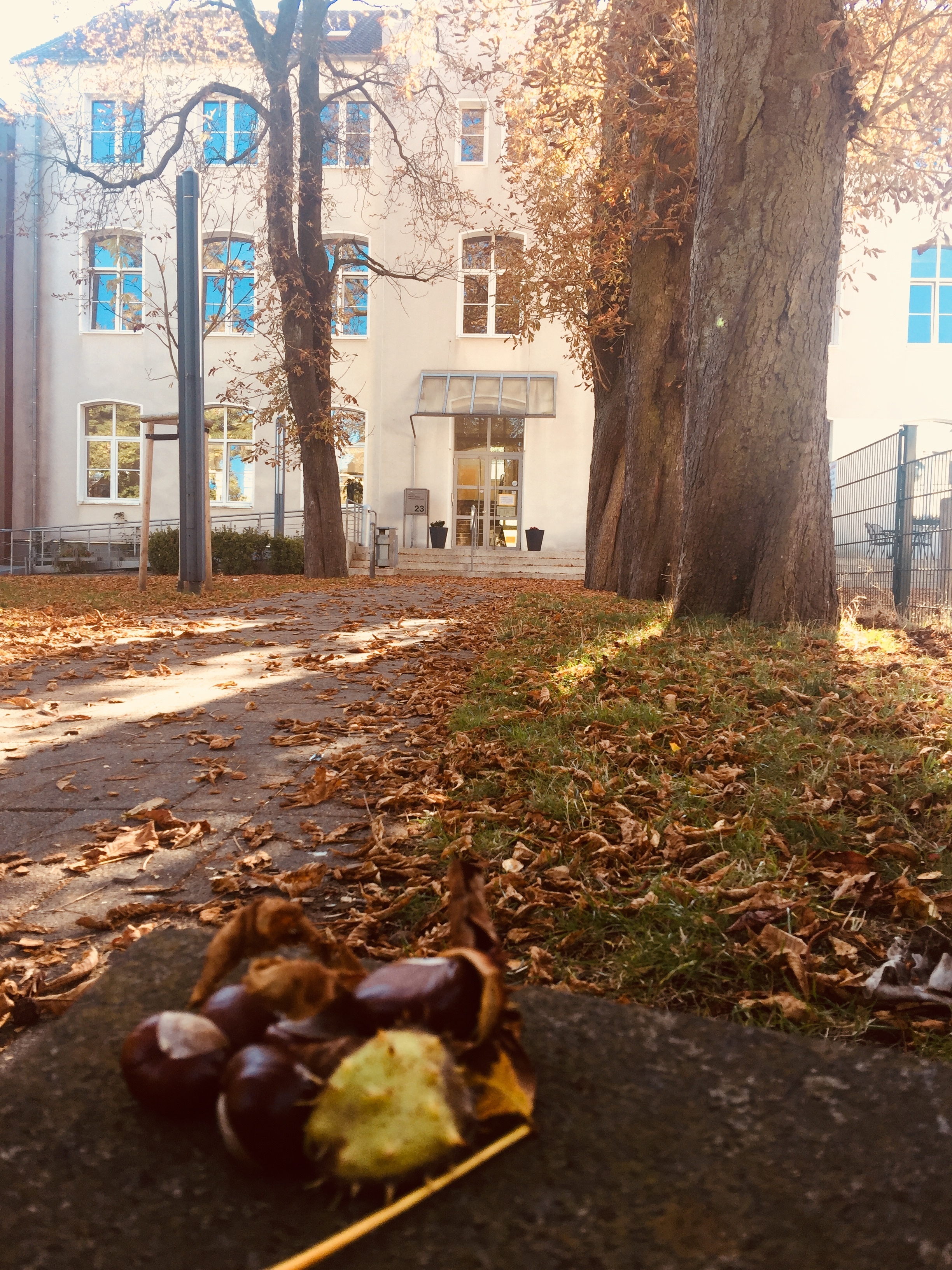 Im Kulturzentrum balou e.V. wird es nach den Herbstferien mit neuen Kursen sportlich...