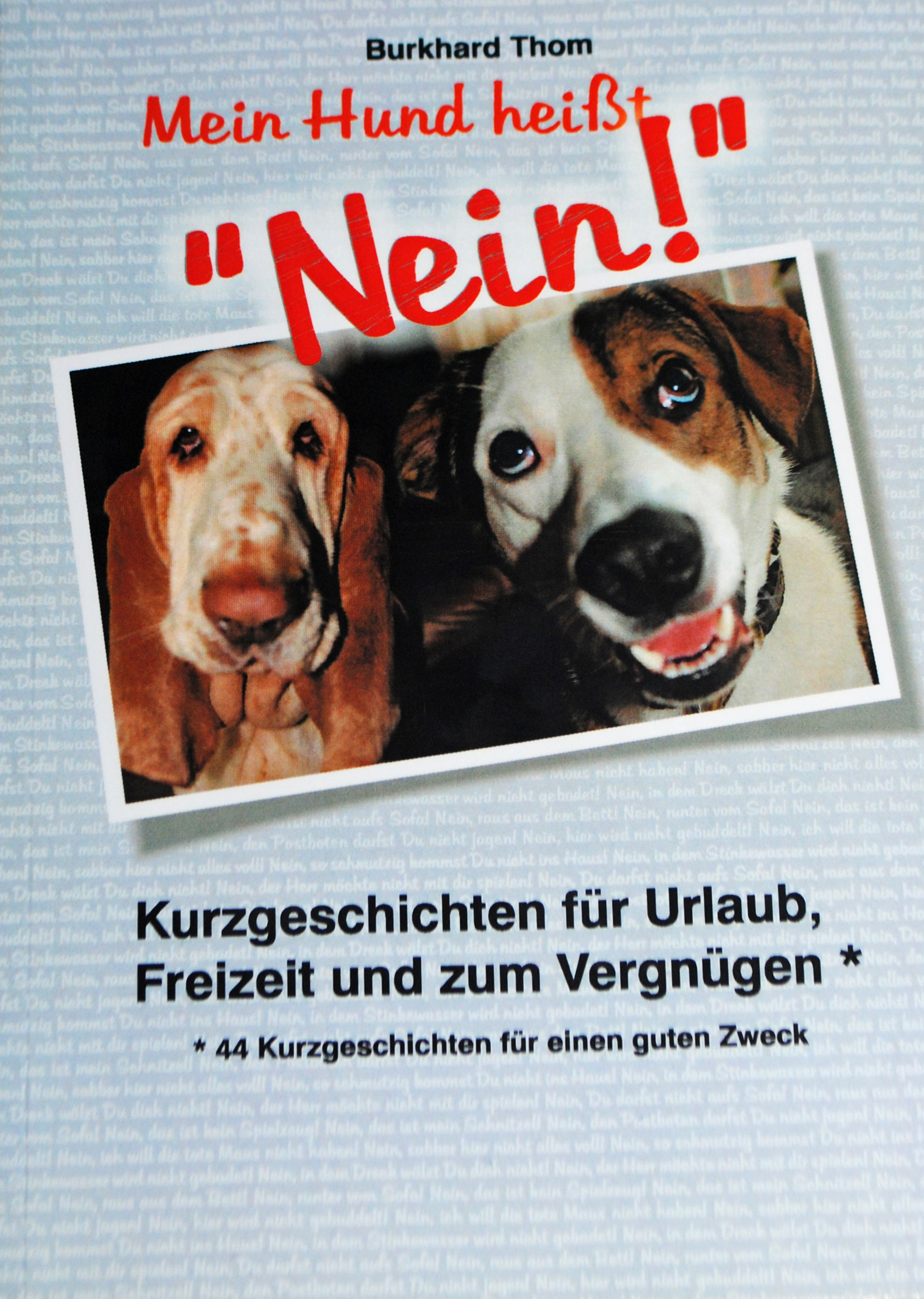 Foto des Buchcovers