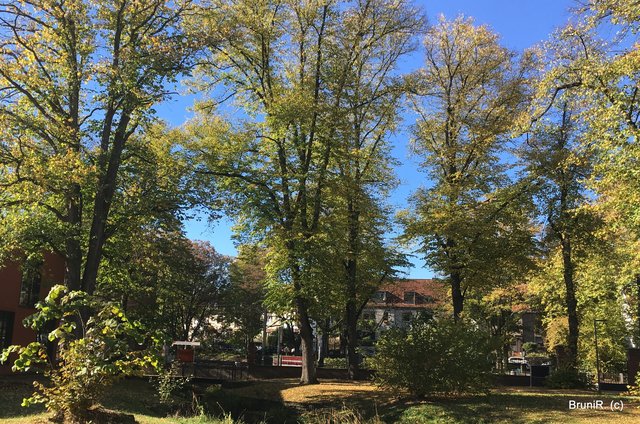 Blick geradeaus zur Heyestraße