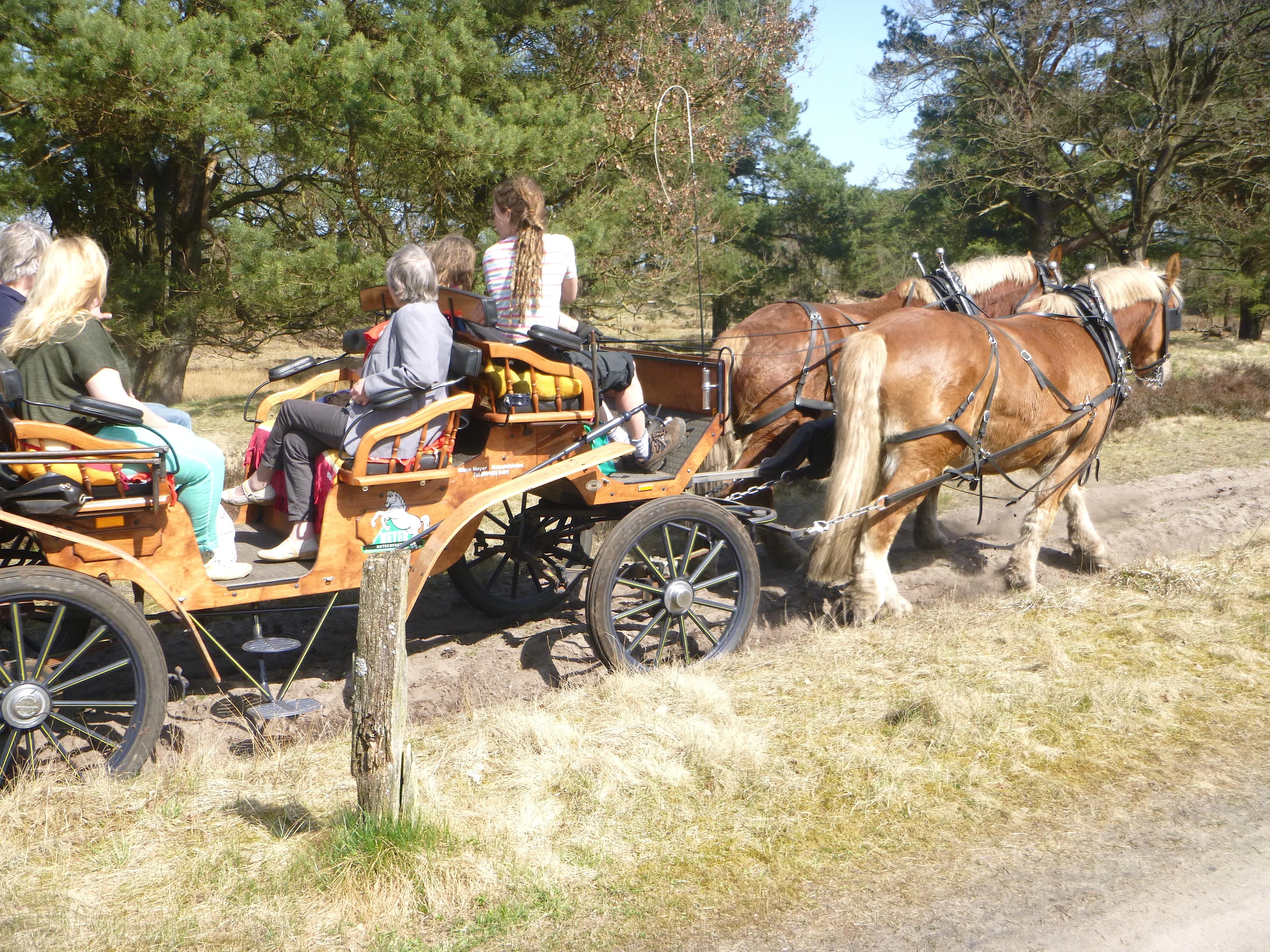 Bild aus dem vergangenen Jahr im Pietzmoor in Schneverdingen.