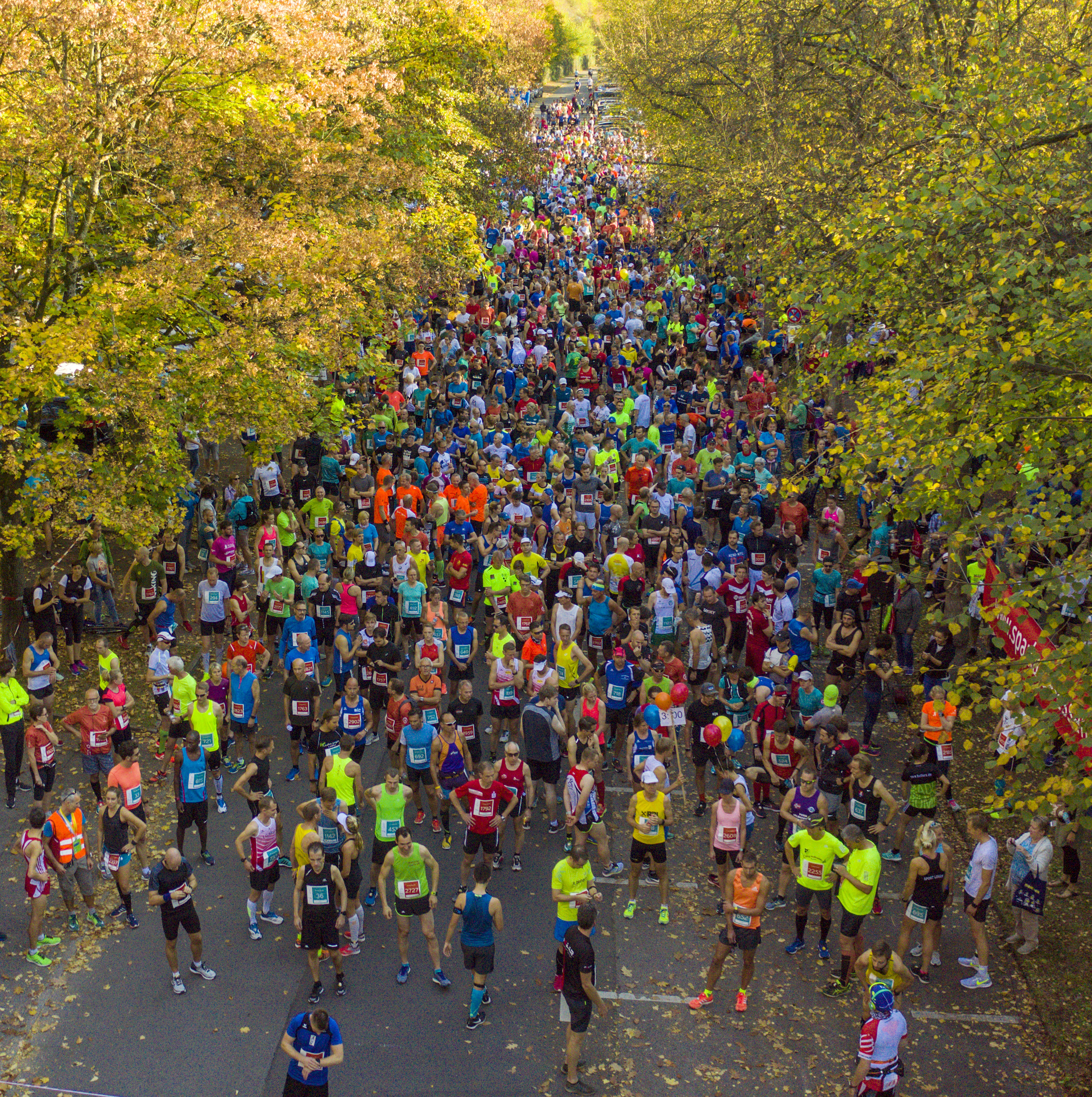 Start des 56. Marathon Essen, Rund um den Baldeneysee. Der Startschuss erfolgte am 8.10. 2017 um 10 Uhr an der Freiherr-vom-Stein-Straße 206a. Auf dem Foto: Vorbereitung zum Start des Hauptlaufes.
Michael Gohl / FUNKE Foto Services