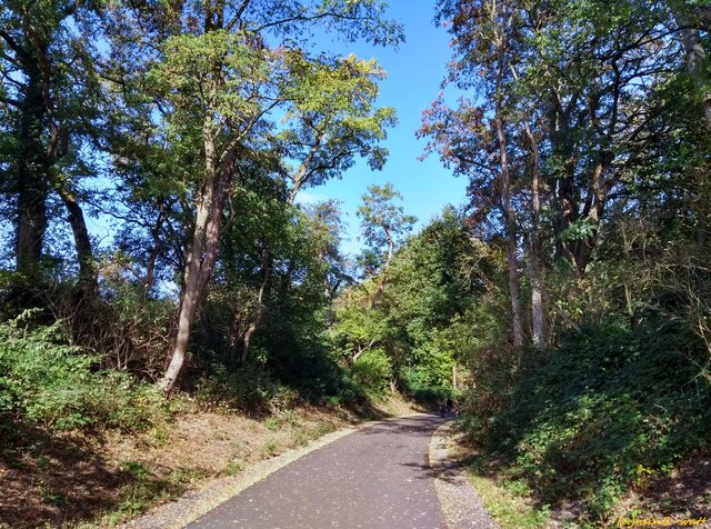 Foto: Rainer Bresslein