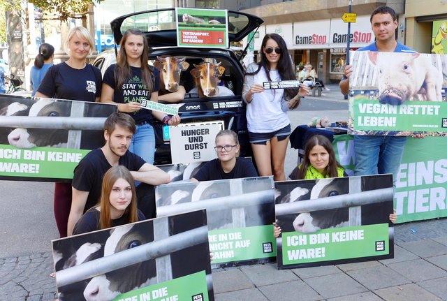 Die Enge bei Tiertransporten demonstrierten Tierschützer dicht gedrängt in einem Auto in der Dortmunder Innenstadt.