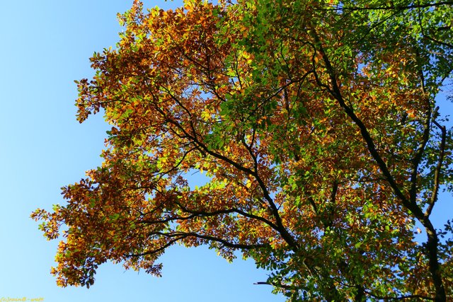 Foto: Rainer Bresslein